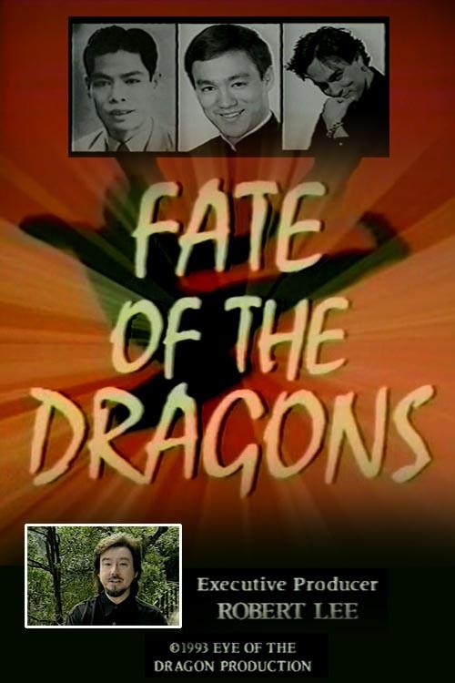 Fate of the Dragons 1993 official movie poster