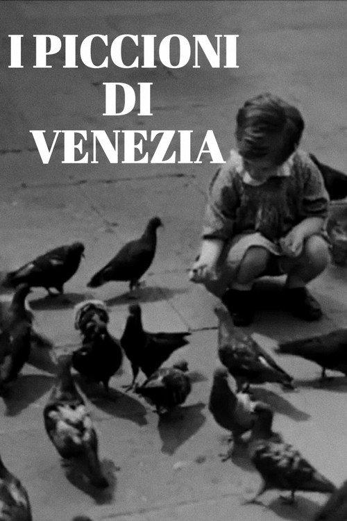 I piccioni di Venezia 1942 official movie poster