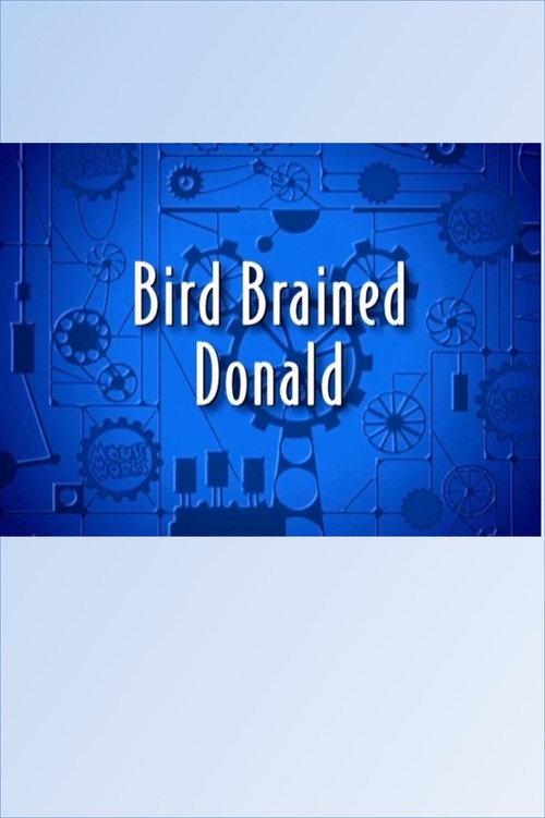 Bird Brained Donald 2000 official movie poster