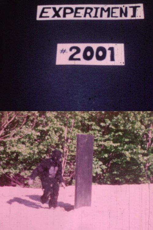 Experiment 2001: A Failure 1970 official movie poster