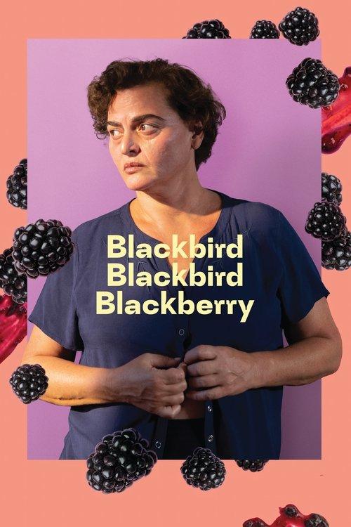 Blackbird Blackbird Blackberry 2023 official movie poster
