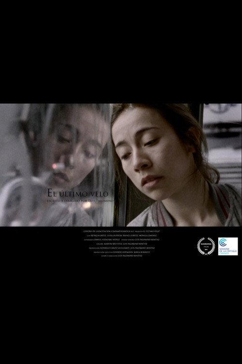 The Last Veil 2013 official movie poster