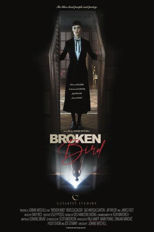 Broken Bird 2024 official movie poster