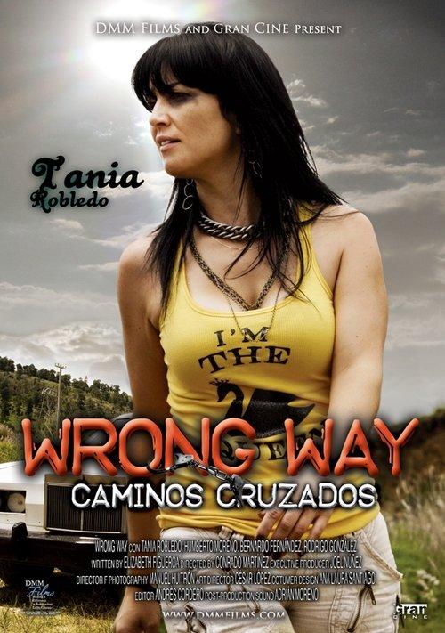 Caminos Cruzados 2008 official movie poster