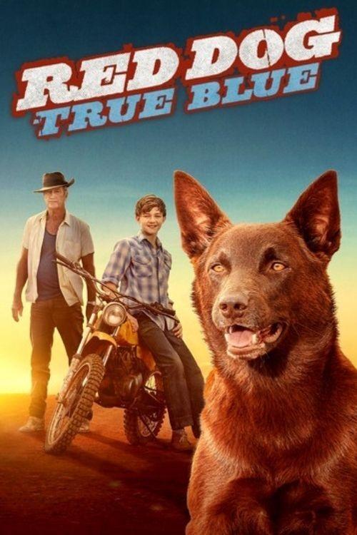 Red Dog: True Blue 2016 official movie poster