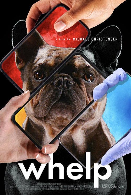 Whelp 2025 official movie poster