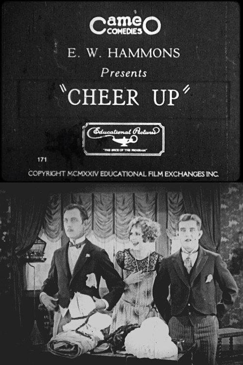 Cheer Up 1924 official movie poster