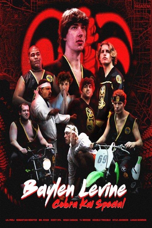The Cobra Kai Movie 2024 official movie poster