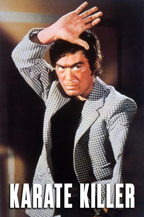 Bodyguard Kiba 2 1973 official movie poster