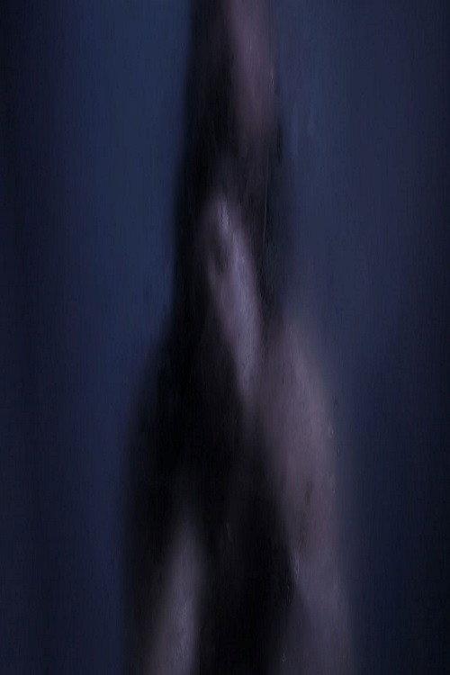 Baisers Nocturnes 2014 official movie poster