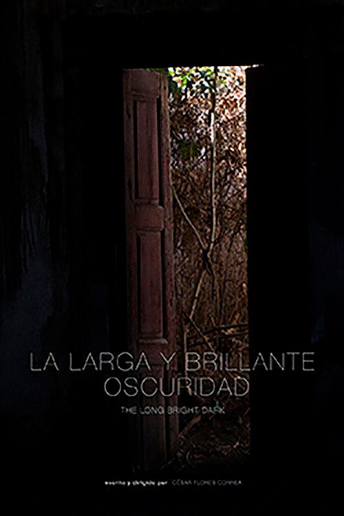 The Long Bright Dark 2017 official movie poster