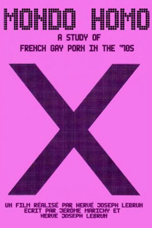 Mondo Homo: Inquiry Into 70's Gay French Porn 2009 official movie poster