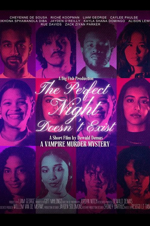 The Perfect Night Doesn't Exist 2024 official movie poster