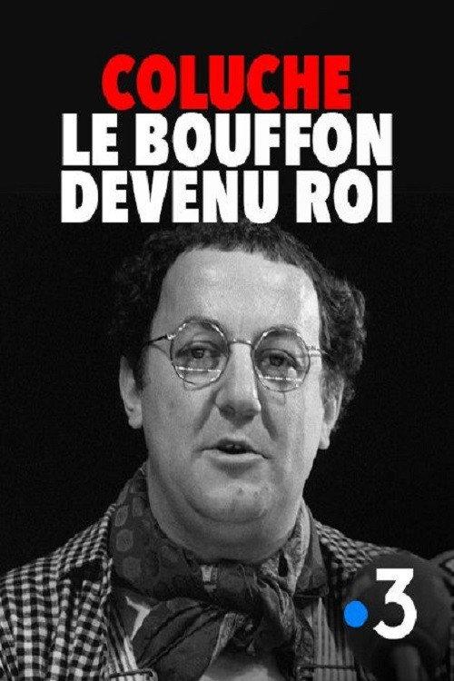 Coluche : le bouffon devenu roi 2016 official movie poster