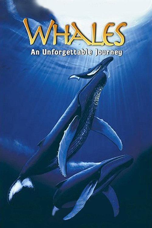 Whales: An Unforgettable Journey 1997 official movie poster