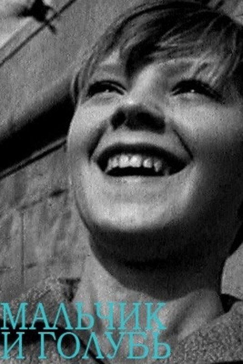 The Boy and the Pigeon 1961 official movie poster
