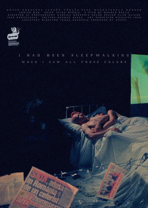 I Had Been Sleepwalking When I Saw All Those Colors 2021 official movie poster