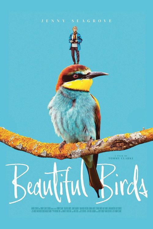 Beautiful Birds 2026 official movie poster