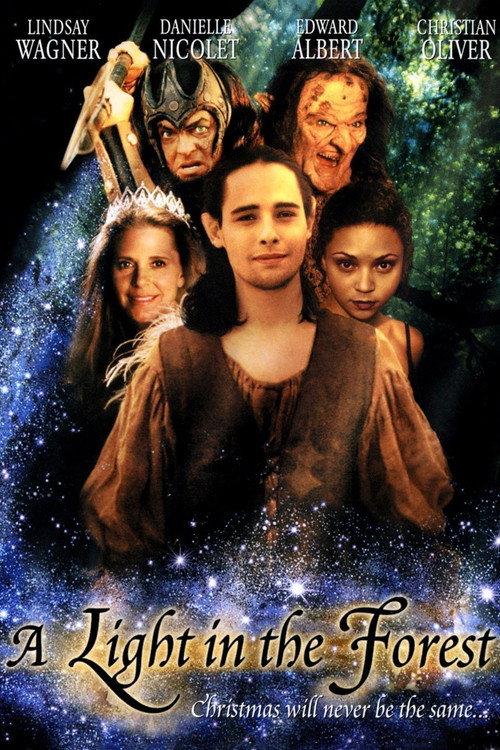 A Light in the Forest 2003 official movie poster
