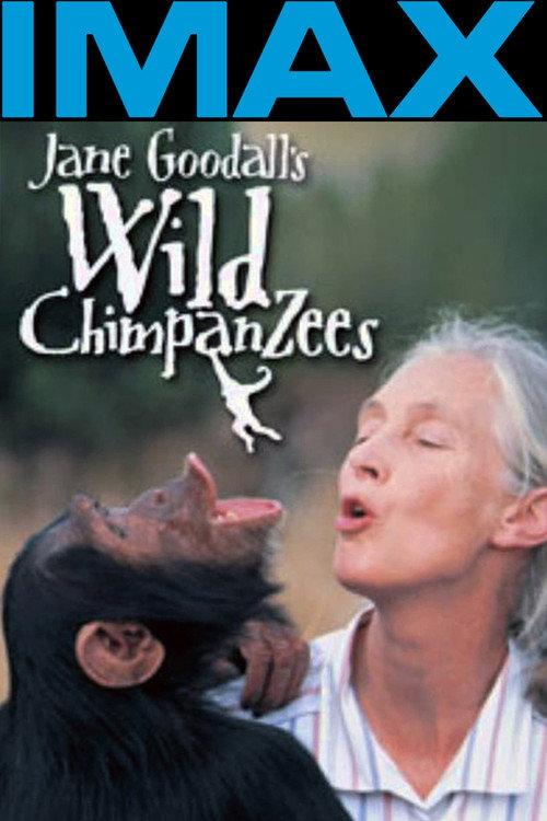Jane Goodall's Wild Chimpanzees 2002 official movie poster