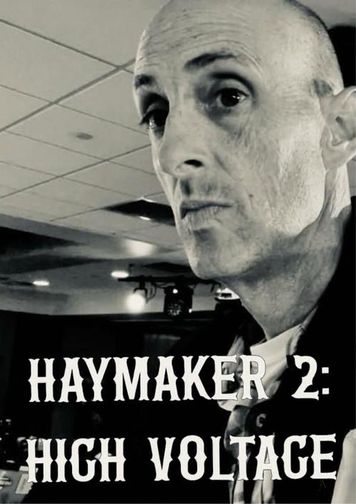 Haymaker 2: High Voltage  official movie poster