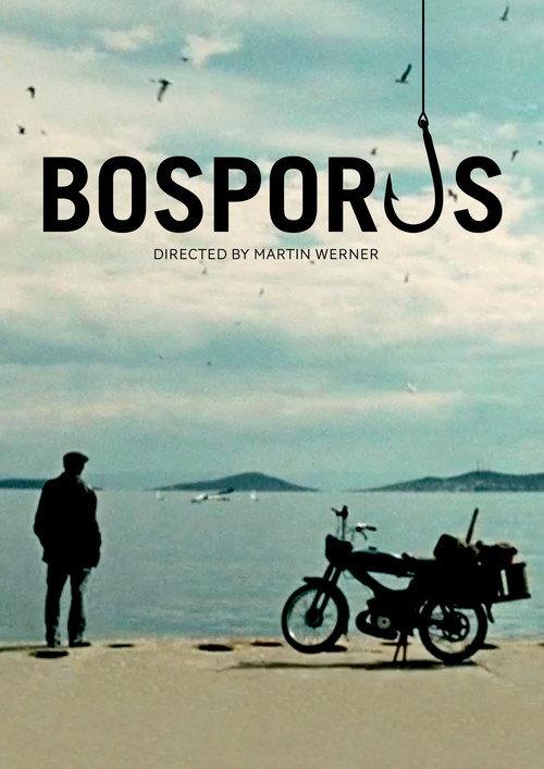Bosporus 2011 official movie poster
