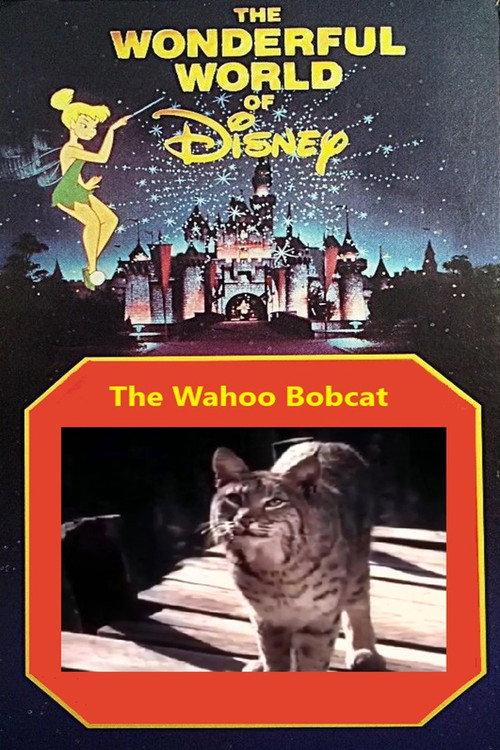 The Wahoo Bobcat 1963 official movie poster
