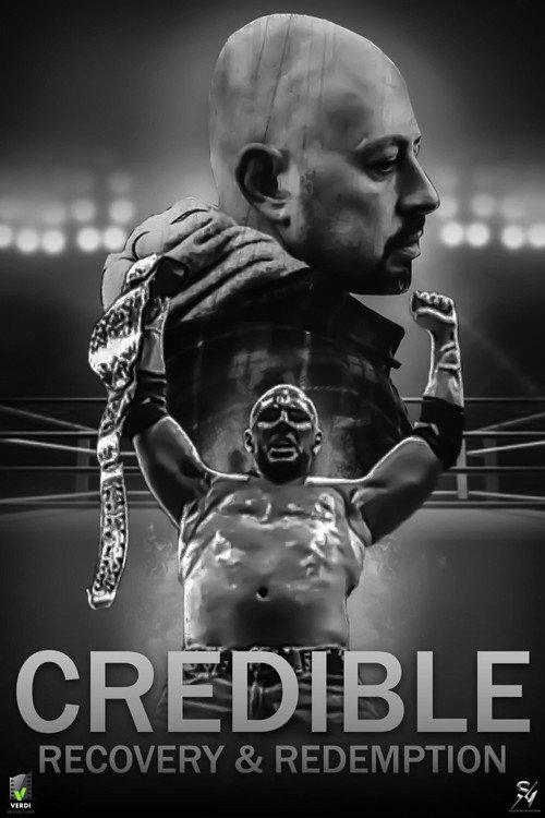 Credible  official movie poster