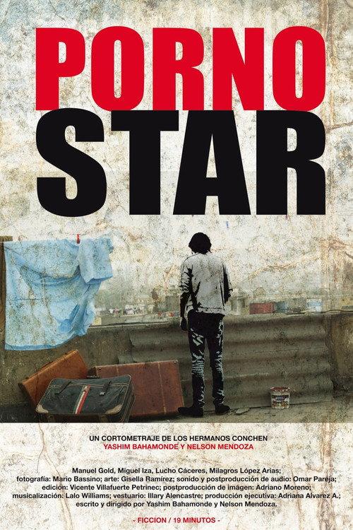 Porno Star 2011 official movie poster