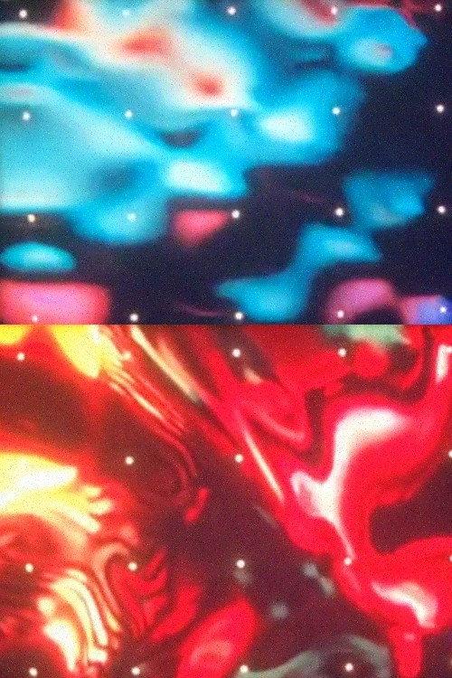 Small Foveal Fields 1981 official movie poster
