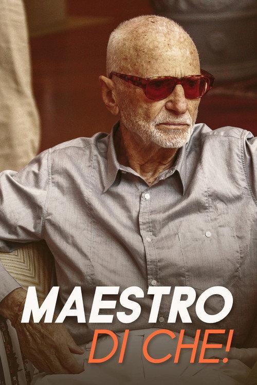 Maestro di che! 2011 official movie poster