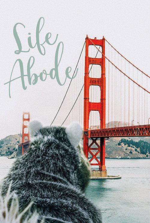 Life Abode 2021 official movie poster