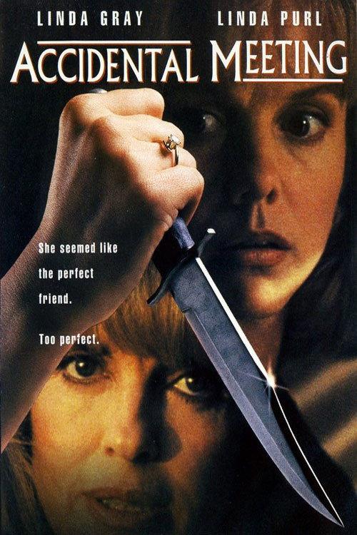 Accidental Meeting 1994 official movie poster
