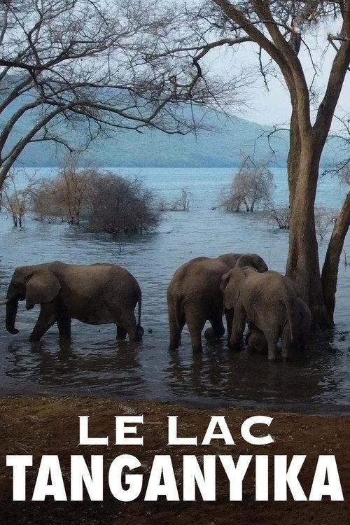 Le lac Tanganyika, la source de vie de l'Afrique 2020 official movie poster