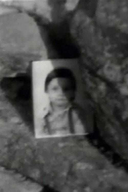 Identity as identification 1976 official movie poster