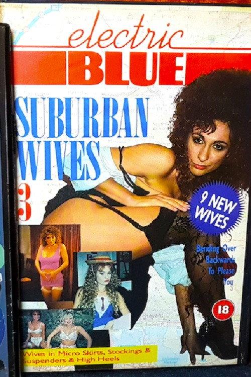 Electric Blue: Suburban Wives 3 1991 official movie poster