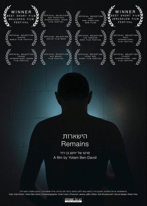 Remains 2013 official movie poster