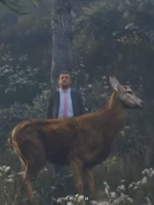 The Deer Gift 2020 official movie poster