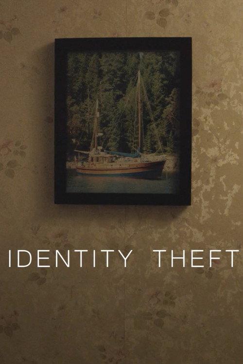 Identity Theft 2015 official movie poster