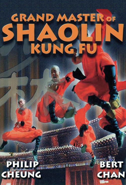 Grand Master Of Kung Fu 1981 official movie poster
