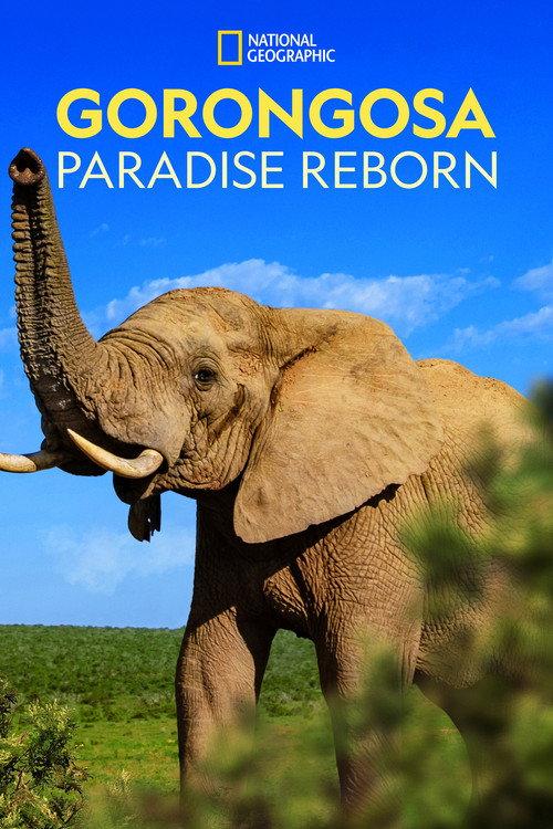 Gorongosa: Paradise Reborn 2022 official movie poster