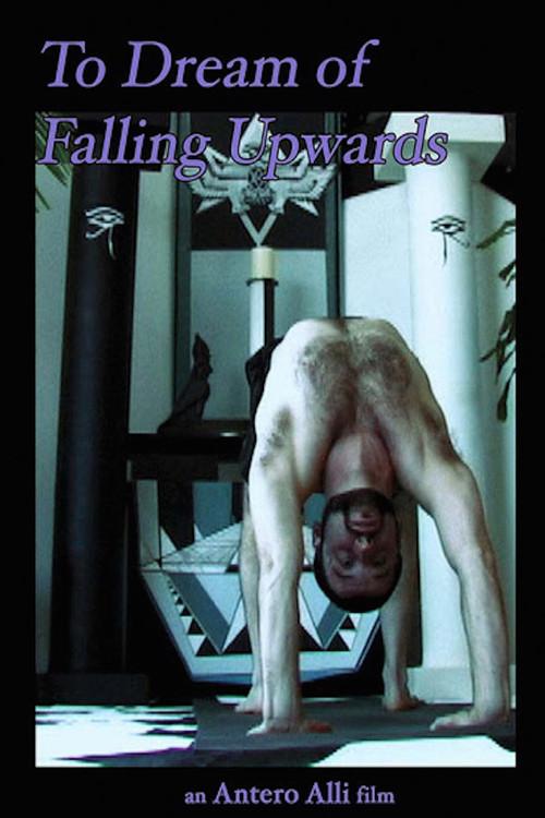 To Dream of Falling Upwards 2011 official movie poster