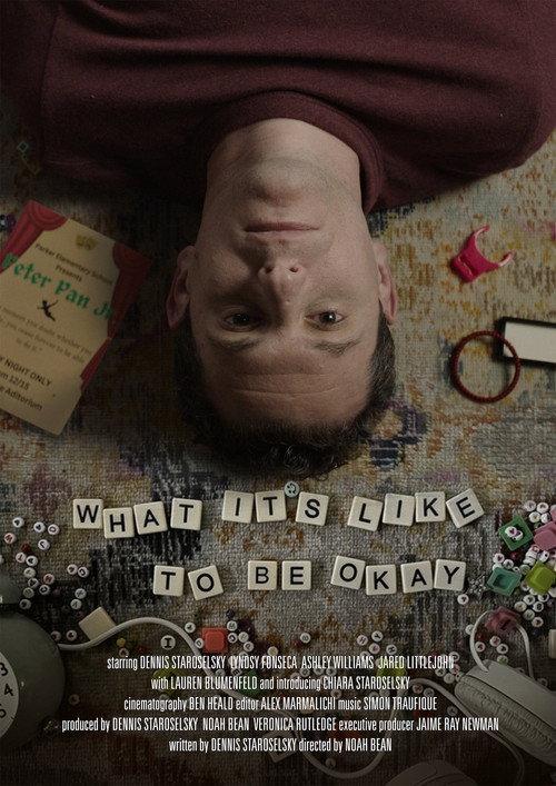 What It’s Like to Be Okay 2025 official movie poster
