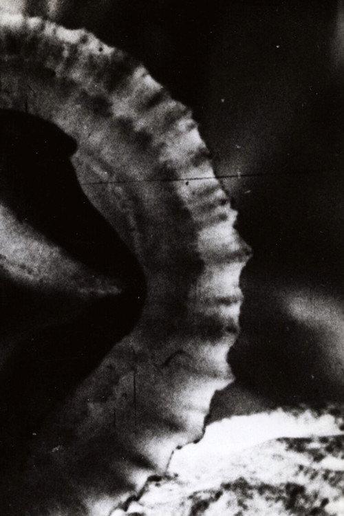 Versus 1968 official movie poster