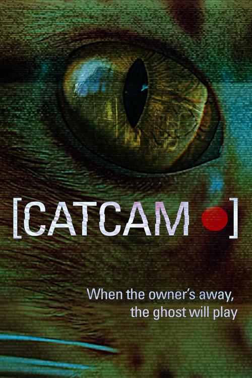 Cat Cam 2026 official movie poster
