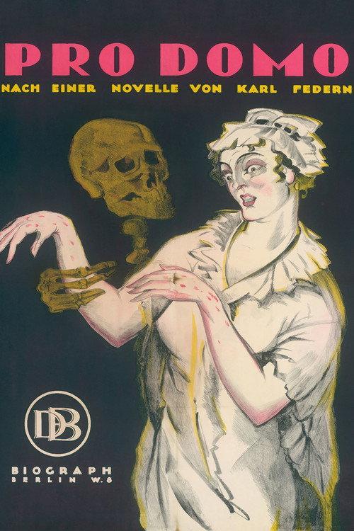 Pro domo 1919 official movie poster