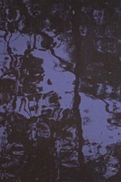 Trees in the River, Kent OH 1973 official movie poster
