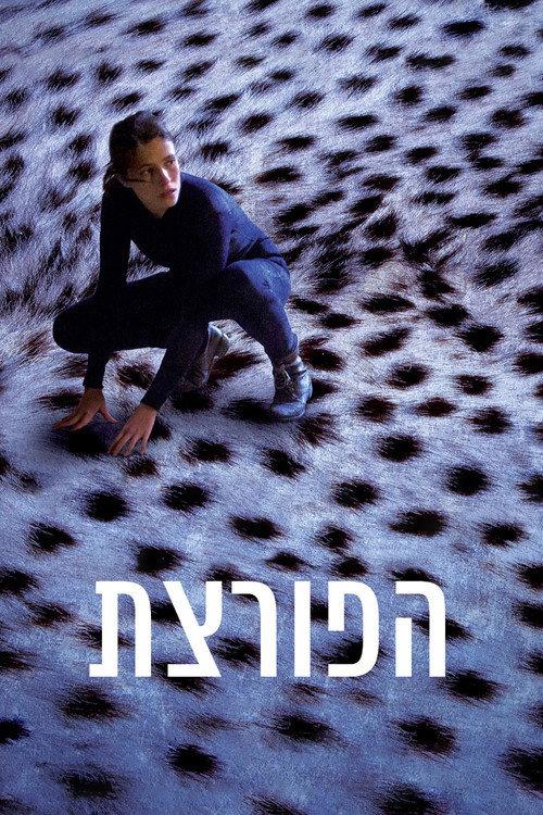 The Burglar 2016 official movie poster