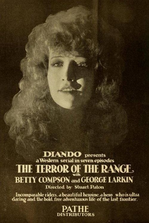 The Terror of the Range 1919 official movie poster