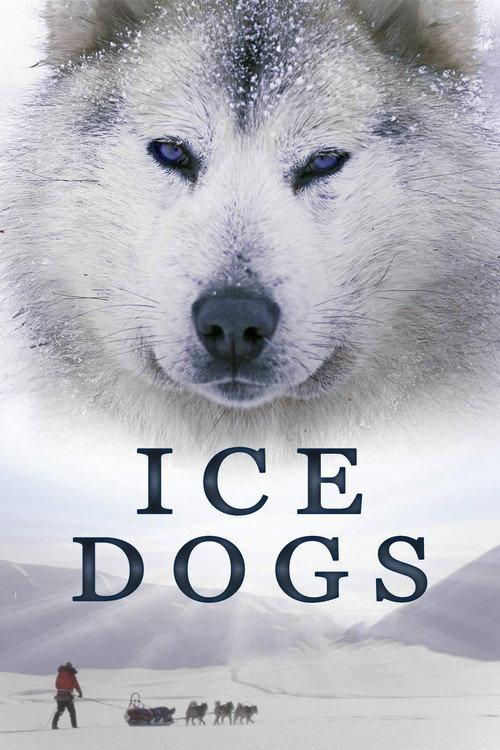 Ice Dogs: The Only Companions Worth Having 2016 official movie poster